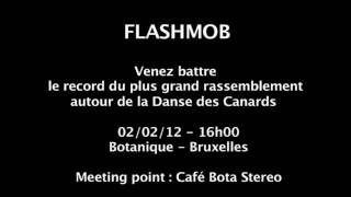 Flashmob  Danse des Canards  Chorégraphie  Teasing 1 [upl. by Ahseina]