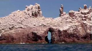 Baja and the Sea of Cortez on a Moorings 47 foot Powercat [upl. by Rikahs]