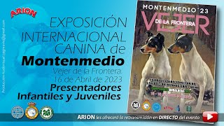 Exposición Internacional Canina de Montenmedio 2023 DOMINGO [upl. by Berner]