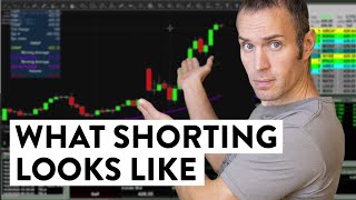 What Does Short Selling a Stock Look Like  Shorting Explained [upl. by Triley]