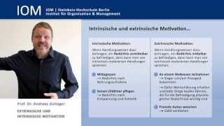 Prof Dr Andreas Aulinger Intrinsische und extrinsische Motivation  Einsichten [upl. by Cissej]