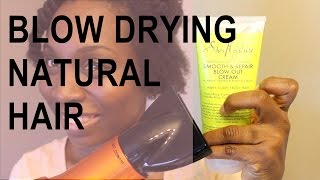 Blow Drying Natural Hair  SheaMoisture Tahitian Noni amp Monoi Blow Out Cream [upl. by Lennaj]