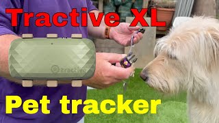 Shock Collar No  its Tractive Tracker [upl. by Mehitable]