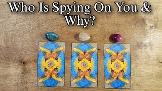 👤🔍 Who Is Spying On You amp Why Pick A Card Tarot Reading [upl. by Siuqaj916]