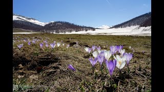 Da Pescasseroli a Bisegna [upl. by Collum]