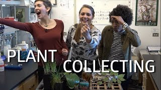 Plant Collecting amp Herbarium Research Pt 1 [upl. by Kaczer]