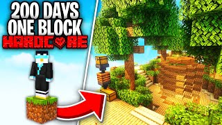 I Survived 200 Days on One Block Skyblock [upl. by Nagol]