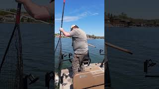 Catching A Catfish On The Drag In Large Cove shorts [upl. by Allerie]