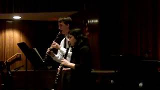 Clarinet Duet by Ignaz Joseph Pleyel with Arno Rockler [upl. by Cosimo684]