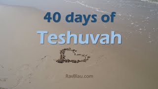 40 days of Teshuvah  No 13  Teshuva is like a mikveh טובל ושרץ בידו [upl. by Lindy]