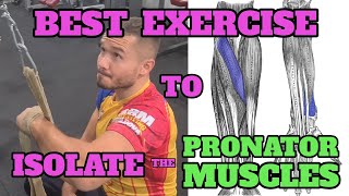 Best Exercise to Isolate the Pronator Muscles [upl. by Gauthier80]