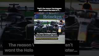 This might be why Max Verstappen didnt want the Halo in Formula 1 [upl. by Mcroberts468]