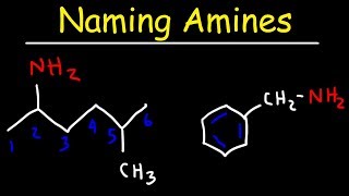 Naming Amines  IUPAC Nomenclature amp Common Names [upl. by Yznel]