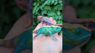 Color changing chameleon toy [upl. by Gertrud]