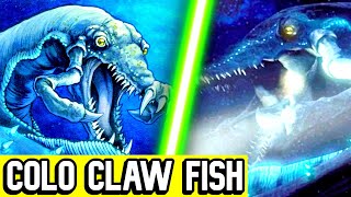 What Is A Colo Claw Fish shorts [upl. by Seugirdor]