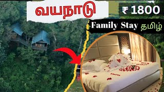 Best resorts in wayanad Wayanadtouristplaces wayanad bestresortsinwayanad familyresortinwayanad [upl. by Yesmar]