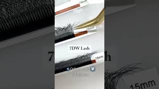 GAlash WShape Premade Fans lashtraining lashextensionslashmaker lashtutorial lashtech [upl. by Jolie310]