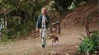 Shiloh 1996 Movie Trailer Beagle dog [upl. by Breban910]