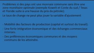 Zone monétaire optimale et euro [upl. by Tyrus]