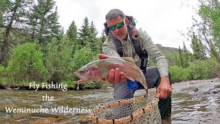 Fly Fishing the Weminuche Wilderness  backpacking into a remote stream [upl. by Assirol]