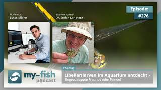 myfishorg  Libellenlarven im Aquarium entdeckt  Freunde oder Feinde Dr Stefan Karl Hetz [upl. by Beverley977]