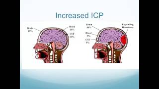 Altered Neurologic Function [upl. by Evvie]