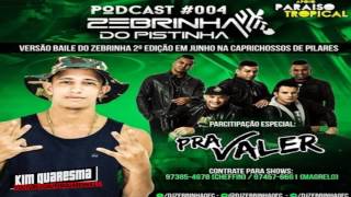 PODCAST 004 DO DJ ZEBRINHA DO PISTINHA AS MELHORES DO BAILE DO PISTINHA  2017 [upl. by Valentin940]