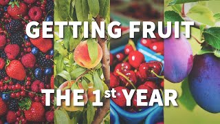 How to Get Fruit the 1st Year  FastGrowingTreescom [upl. by Atiuqaj173]