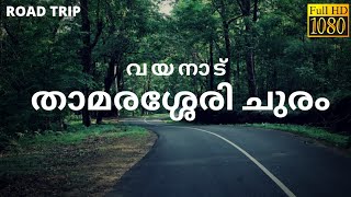 Thamarassery Churam  Road Trip  Wayanad Ghat  Thamarassery Ghat  Dash Cam HD Clip [upl. by Azilanna]