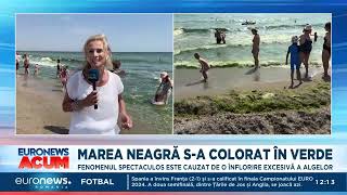 Marea Neagră sa colorat în verde Explicația fenomenului spectaculos de pe litoralul românesc [upl. by Barrie733]