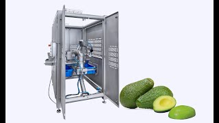 KRONEN Robot Avocado Line for automatic halving pitting and peeling [upl. by Yuille808]