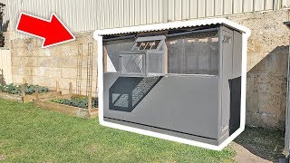 Small Pigeon Loft 2019 [upl. by Herbie]