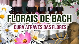 FLORAIS de BACH  Como funciona Quem é Bach Vale a pena realmente se tratar com florais Descubra [upl. by Kaden801]