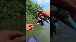 Pancing Akan Di Sambar 😁 mancingikan mancingsungai fishingvideo2024 [upl. by Stagg]