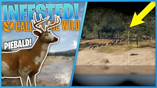 The NEW Map Is INFESTED With Whitetail  theHunter Call Of The Wild [upl. by Eirased]