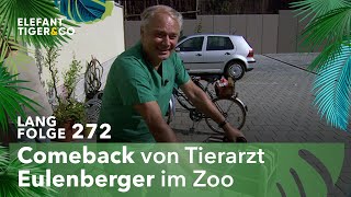 Ein Professor auf Stippvisite Langfolge 272  Elefant Tiger amp Co  ARD [upl. by Otsugua303]