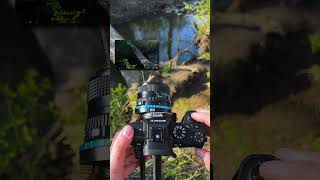 Panoramic Photography with a TiltShift Adapter photography panorama [upl. by Ayikat]