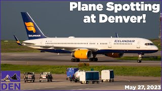 Plane Spotting  Denver International Airport ULCCs Heavies amp More [upl. by Fihsak467]