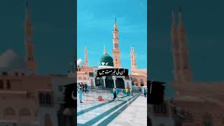 Sarwary do jha sa Dua ha mere Masha allah piyari naat 🕋🕋🥰🥰🕊️💖❤️‍🩹 islamic contentcreator naat [upl. by Olivann814]