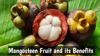 Mangosteen fruit benefits in telugu  How to eat mangosteen in telugu  Kadiyala Mamatha [upl. by Maren]