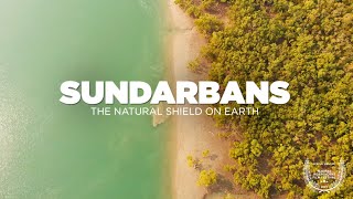 SUNDARBAN Tour  The Natural Shield on Earth  Sundarban National Park Delta  Sundarban Documentary [upl. by Stoops]