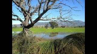 Al pla de lEmpordà lletra amb el grup Mar Endins lletreshavaneres havaneres [upl. by Arde792]