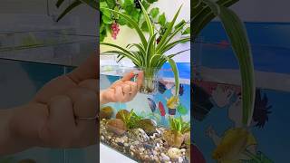 Good plant tools minifishtank waterlife aqualife subscribe [upl. by Julius794]