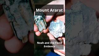 Noahs Ark Discovered Documentary Mt Ararat amp Evidence of the Flood  Full Video in Description [upl. by Lebazi]