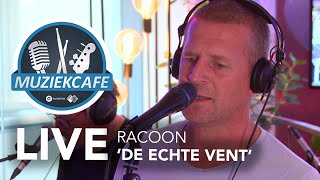 Racoon  De Echte Vent live bij Muziekcafé [upl. by Nickles]