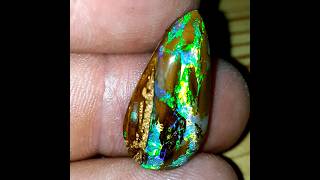 Opalised wood from Koroit queensland [upl. by Edroi]