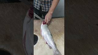 Cleaning farmed salmon [upl. by Dressel329]