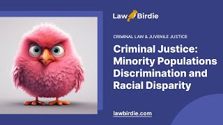 Criminal Justice Minority Populations Discrimination and Racial Disparity  Essay Example [upl. by Morell654]