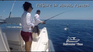 Fishing Trip out of Key Biscayne Saltwater Fishing in Miami Florida [upl. by Evangeline502]