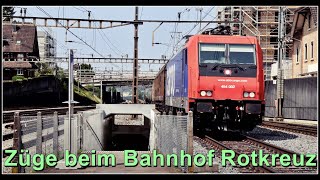 Personen und Güterzüge beim Bahnhof Rotkreuz  Kanton Zug  Schweiz 2023 [upl. by Gebelein]